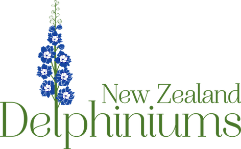 New Zealand Delphiniums